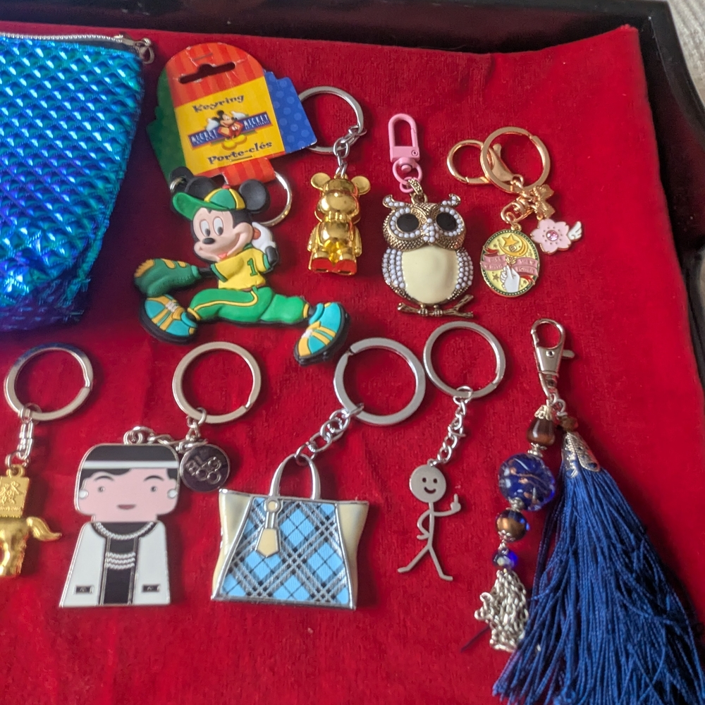 Bundle Of Keychains + Pouch - Picture 3 of 4